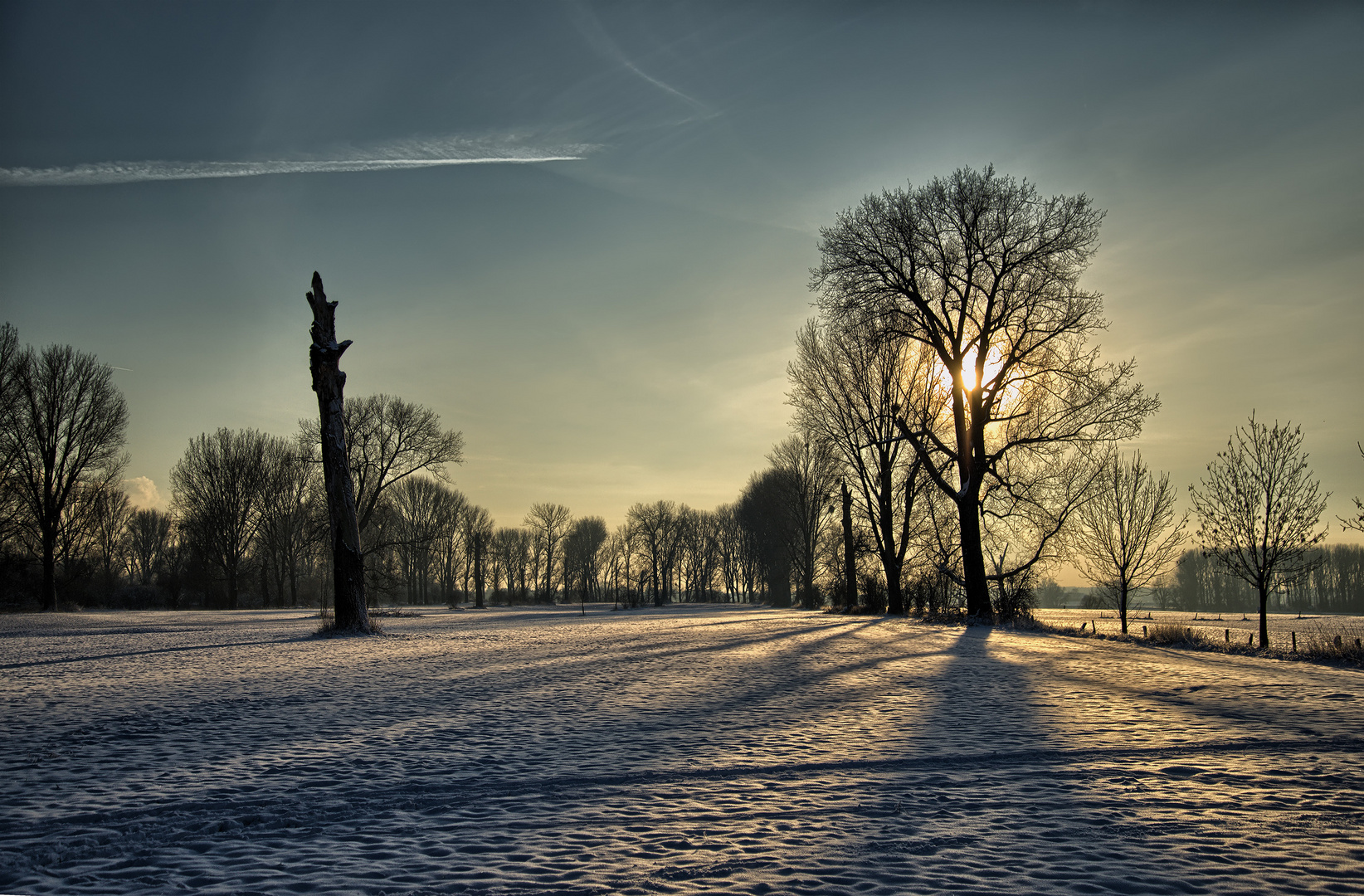 Im Schatten der Erkenntnis