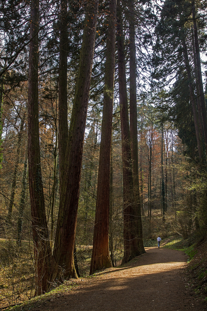 Im Schatten der Giganten