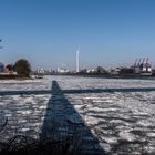 Im Schatten der Köhlbrandbrücke