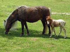 im Schatten der Mutter.........