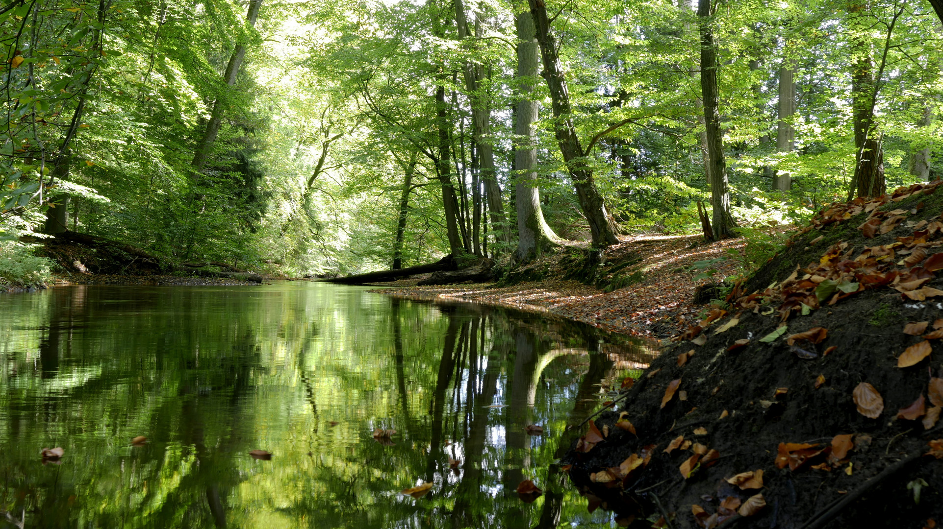 Im Schatten der noch grünen Bäume...