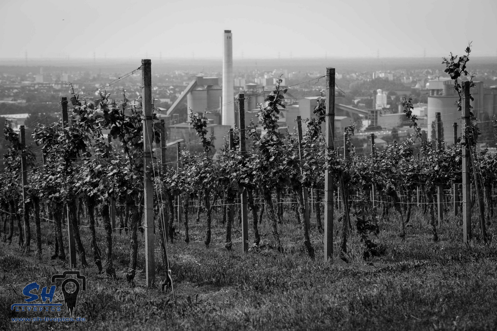 im Schatten der Türme