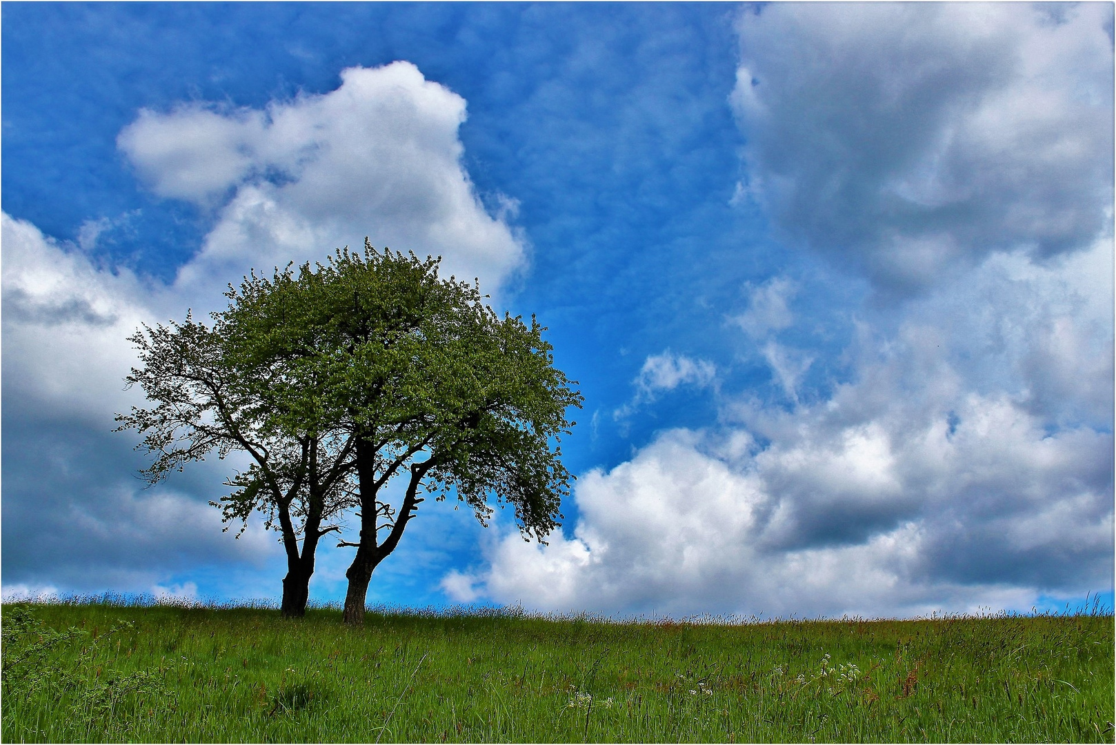 Im Schatten des ANDEREN