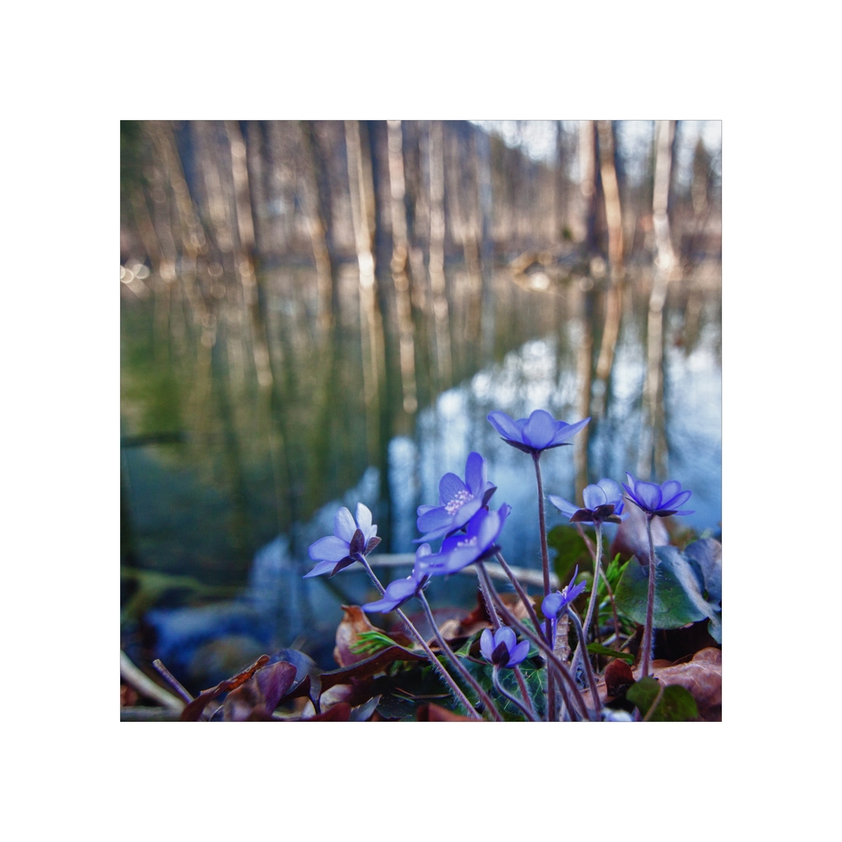 < Im Schatten des Berges >