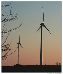 Im Schatten des Großen