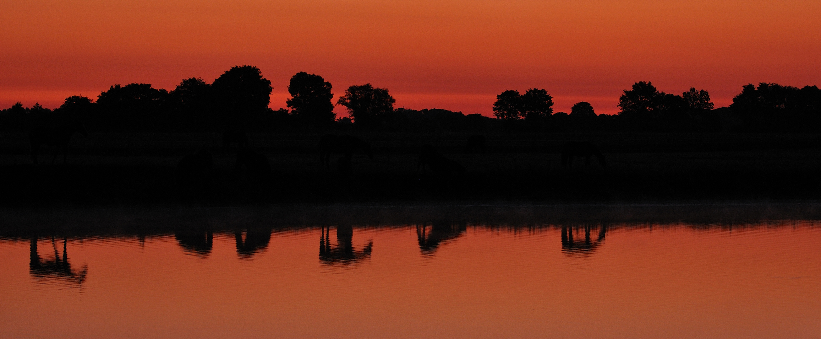 Im Schatten des Morgenlichtes