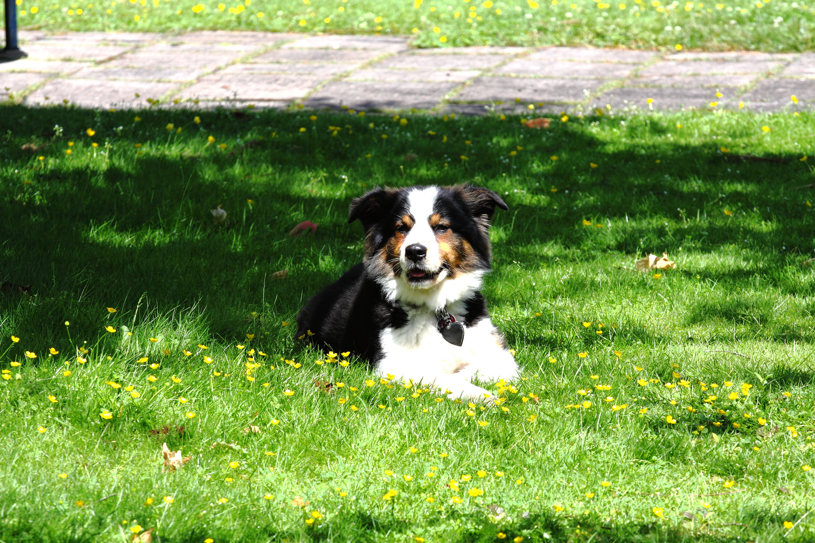 Im Schatten ist es am schönsten