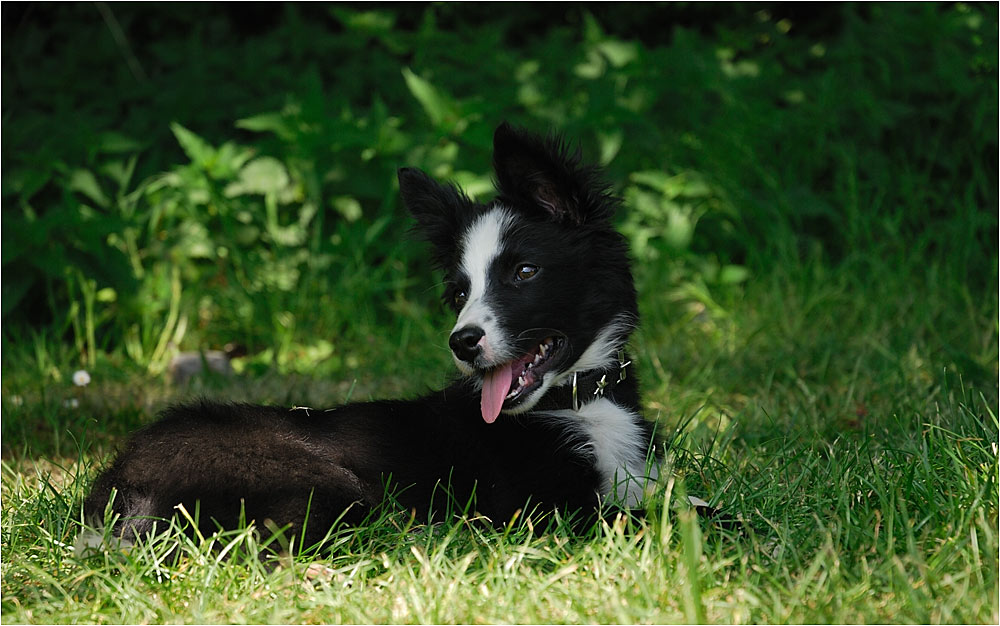 Im Schatten relaxen