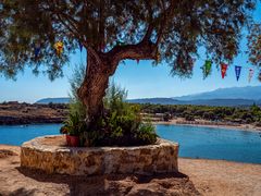 im schatten sitzen...