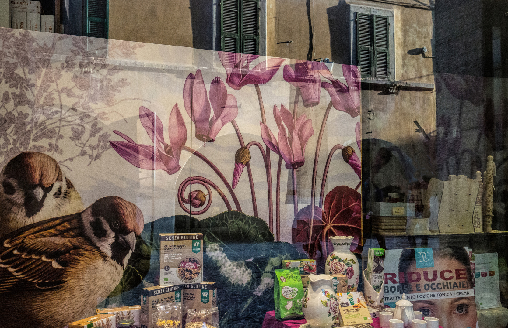 im Schaufenster eines Reformhauses gespiegelt