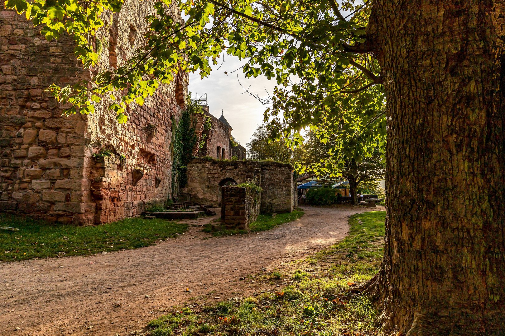 Im schein der Herbstsonne