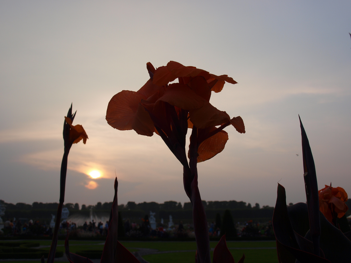 Im Schein der Untergehende Sonne