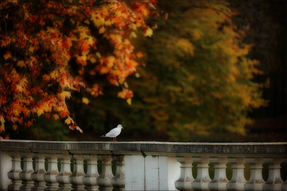 Im Schein der warmen Herbstsonne