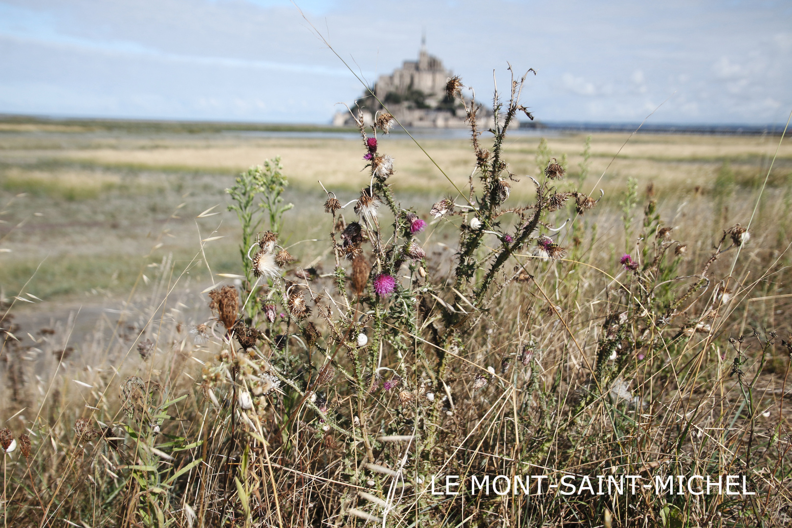 Im Schlick der Normandie steht ein Berg ...