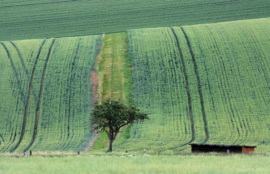 im Schlitzerland 01