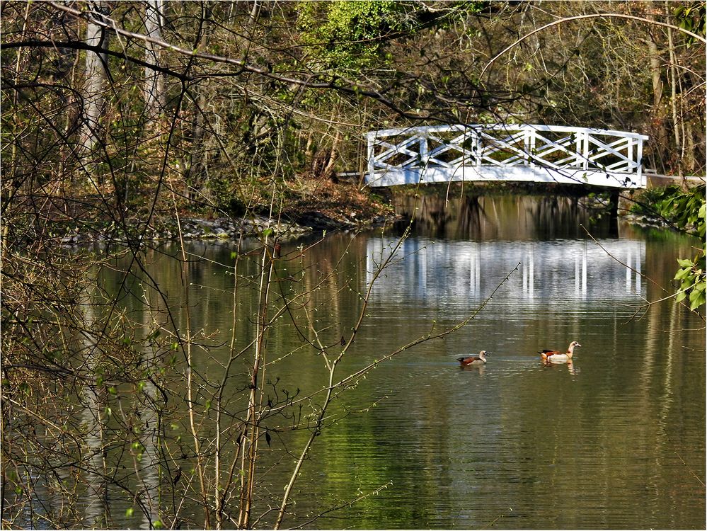 Im Schlossgarten