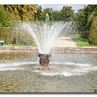 Im Schlossgarten #3 - Herrenhausen