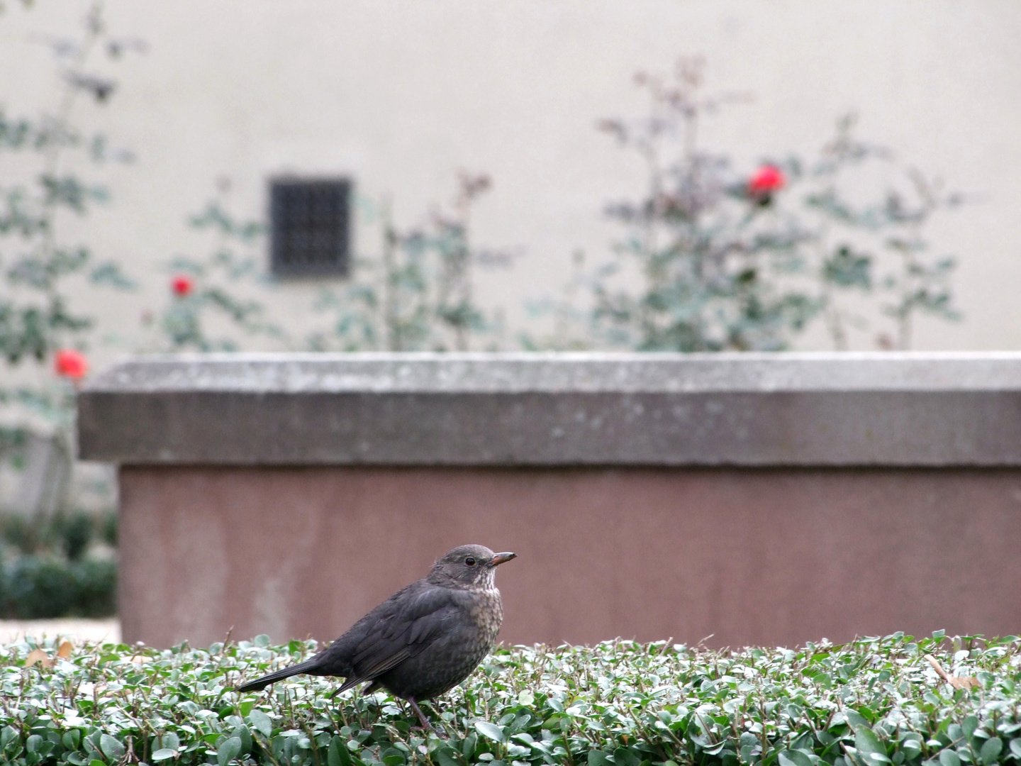 Im Schlossgarten