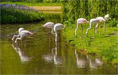 Im Schlossgarten Arcen (NL)