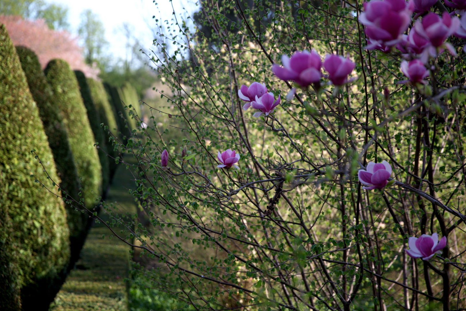 im Schlossgarten..