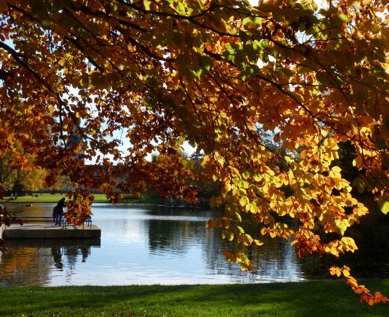 im Schlossgarten