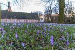 Im Schlossgarten Husum