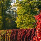 Im Schloßgarten Luisium Dessau