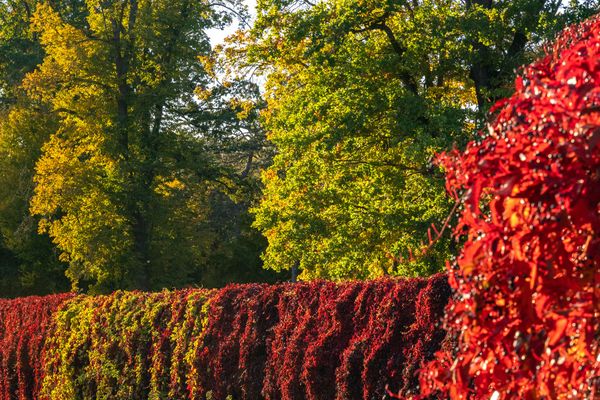 Im Schloßgarten Luisium Dessau