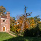 Im Schloßgarten Luisium Dessau