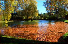 Im Schlossgarten Veitshöchheim