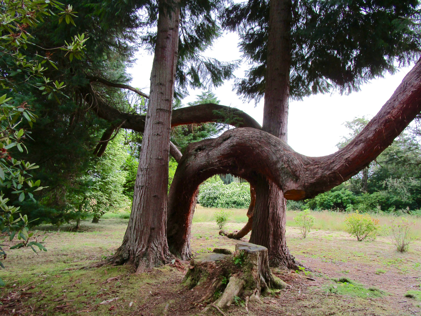 Im Schlossgarten von Inverneray