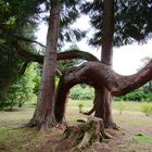 Im Schlossgarten von Inverneray