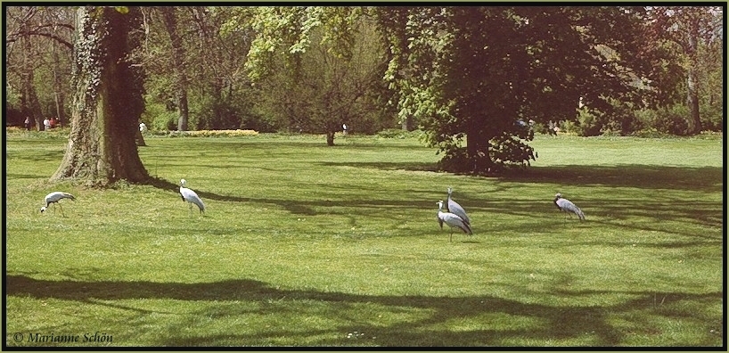  Im Schlossgarten von Ludwigsburg...