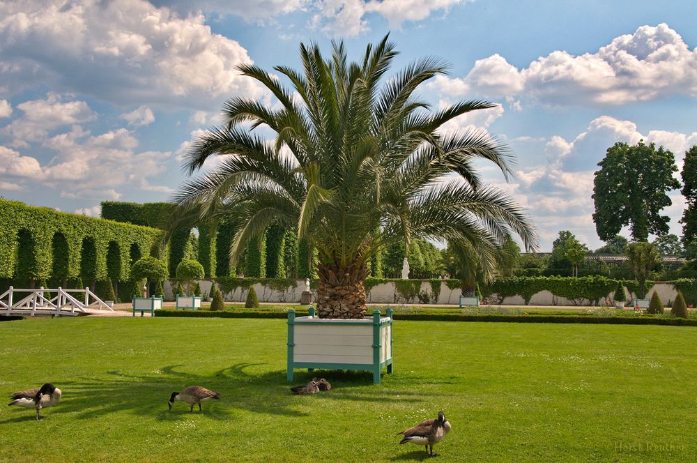 Im Schlossgarten von Schwetzingen 3