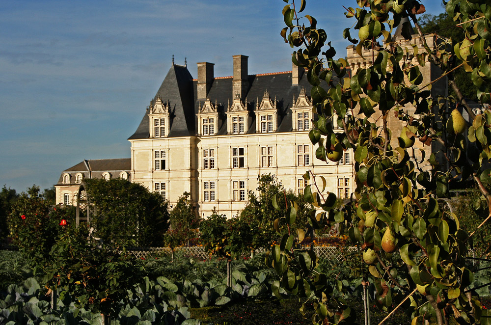 Im Schloßgarten von Villandry