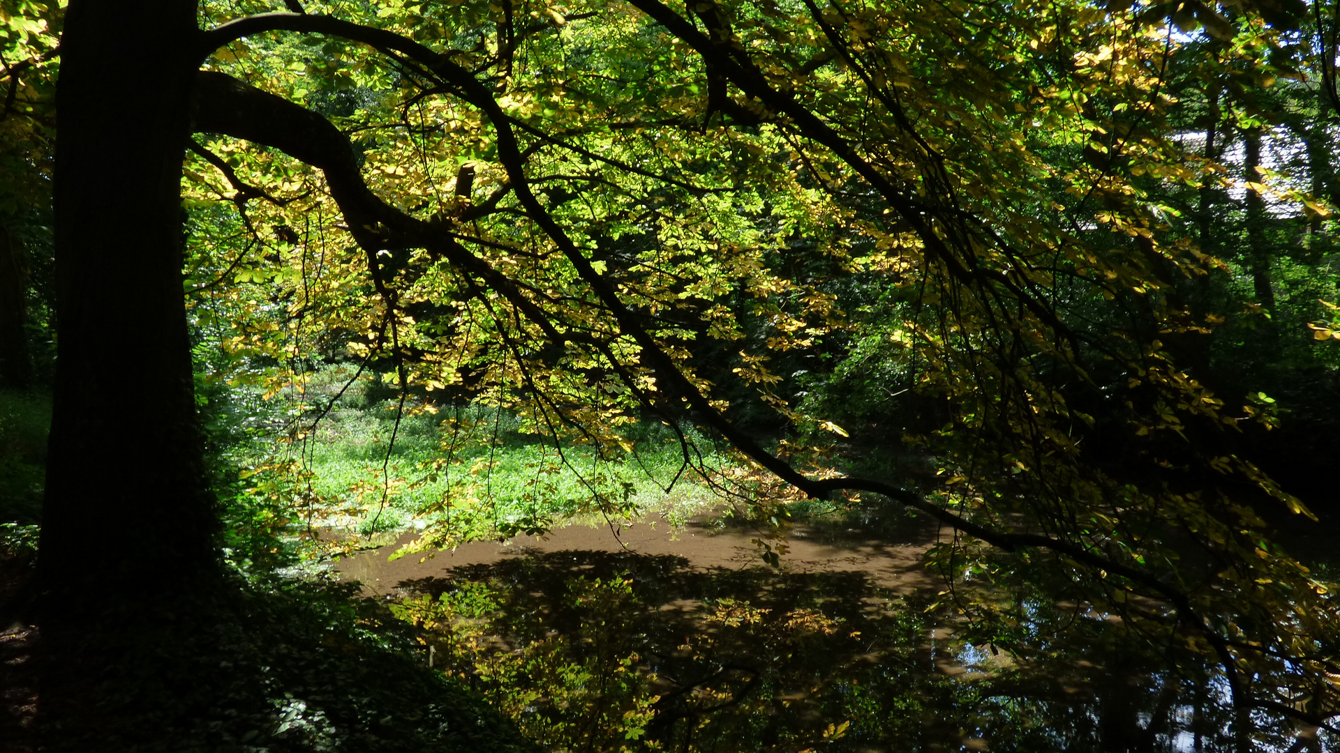 Im Schlosspark 