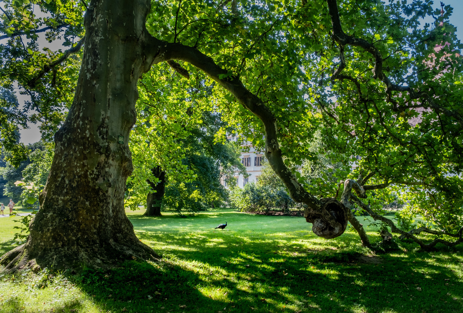 Im Schlosspark