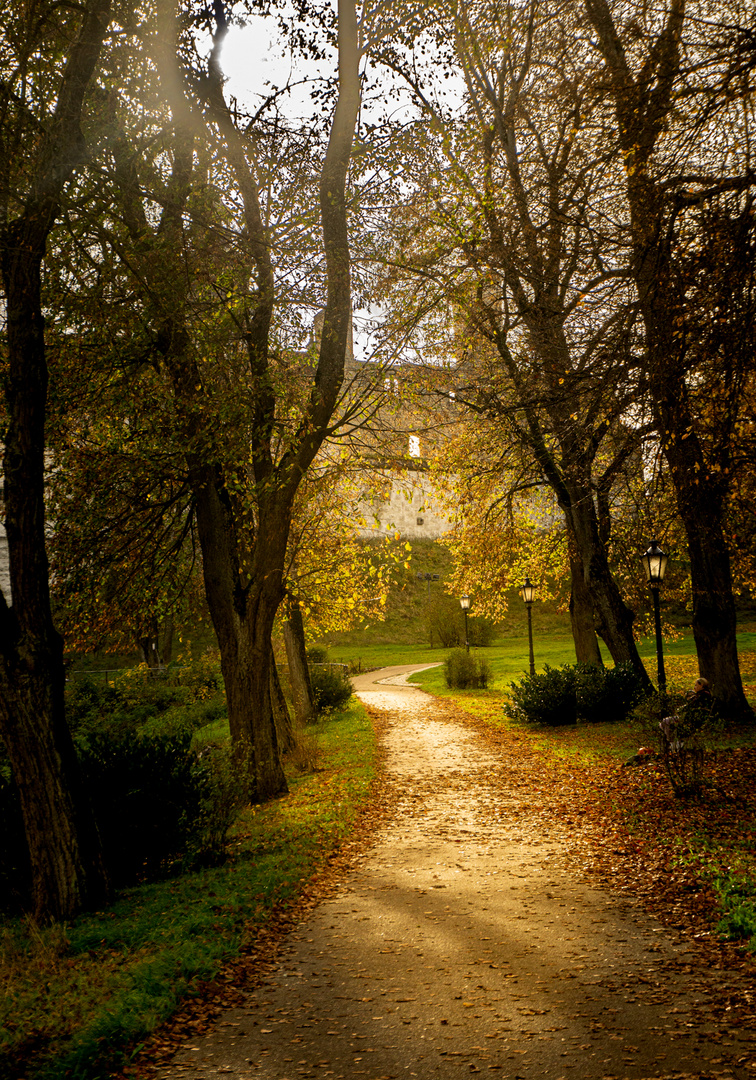 im Schloßpark