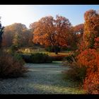 im Schloßpark