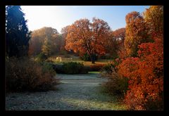 im Schloßpark