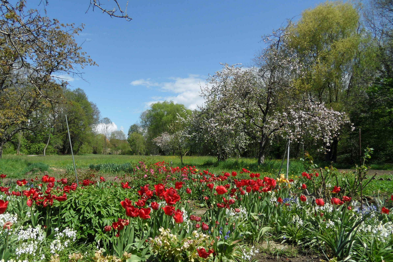 im Schlosspark