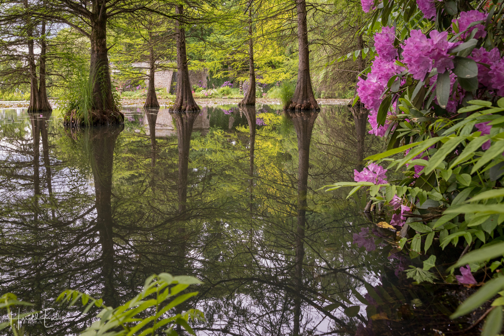 Im Schlosspark