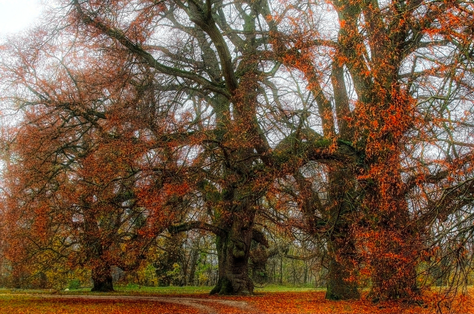 Im Schlosspark