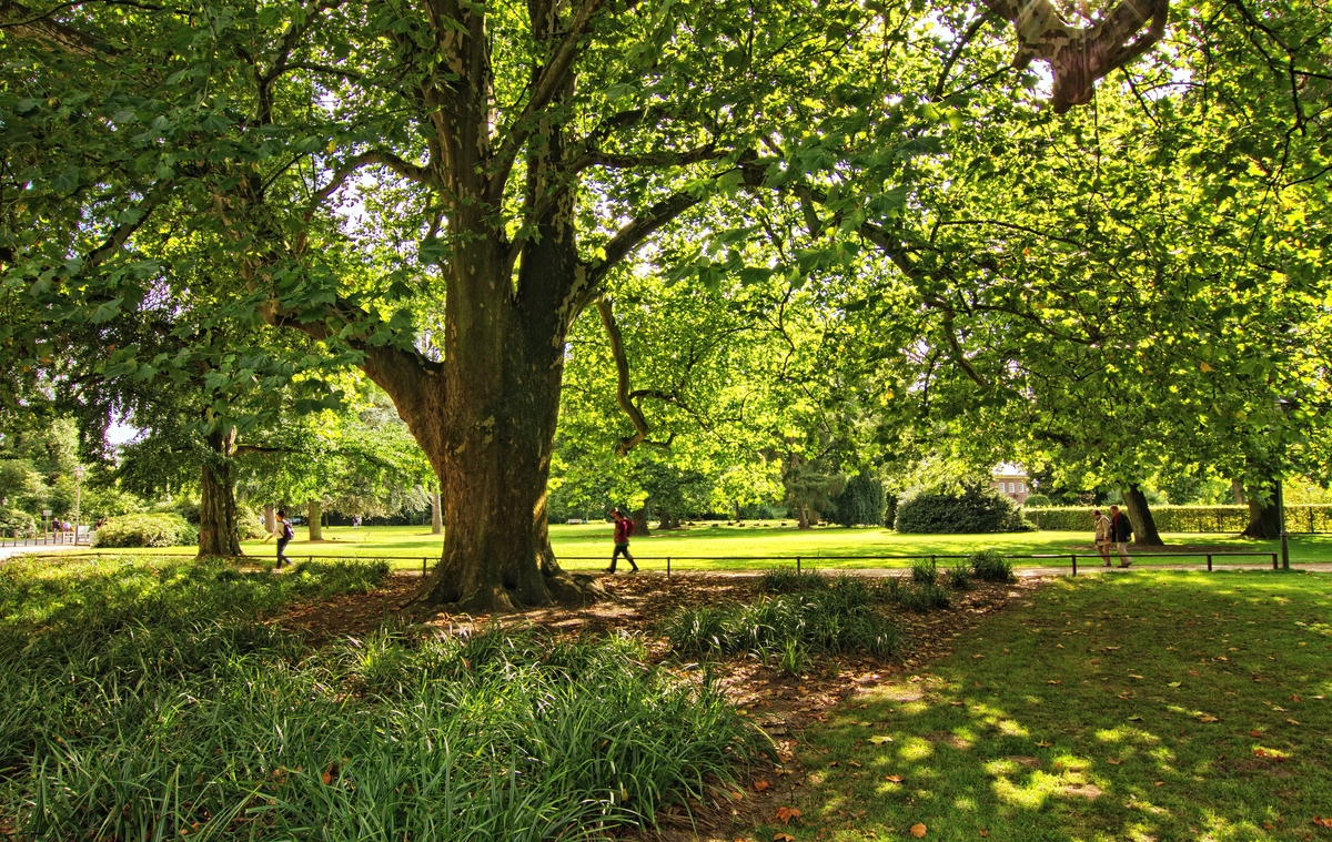 Im Schlosspark 