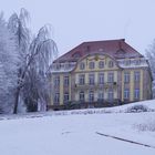 im Schloßpark