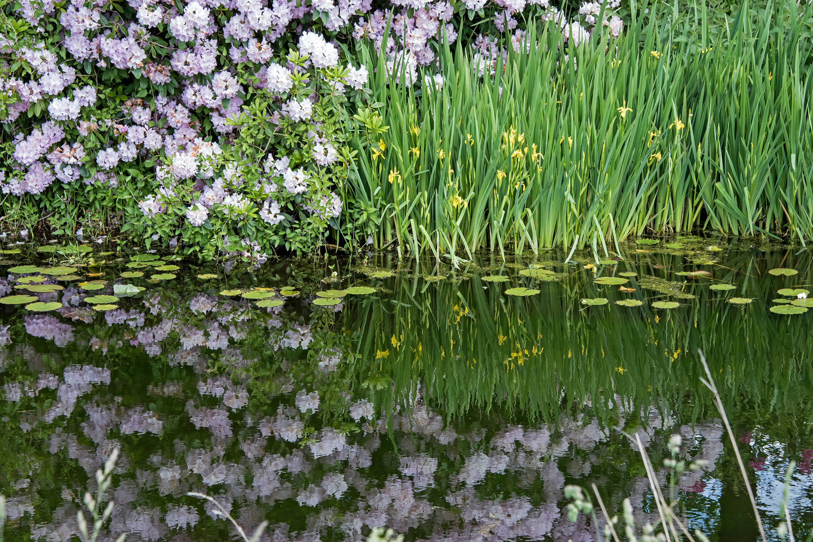 Im Schlosspark