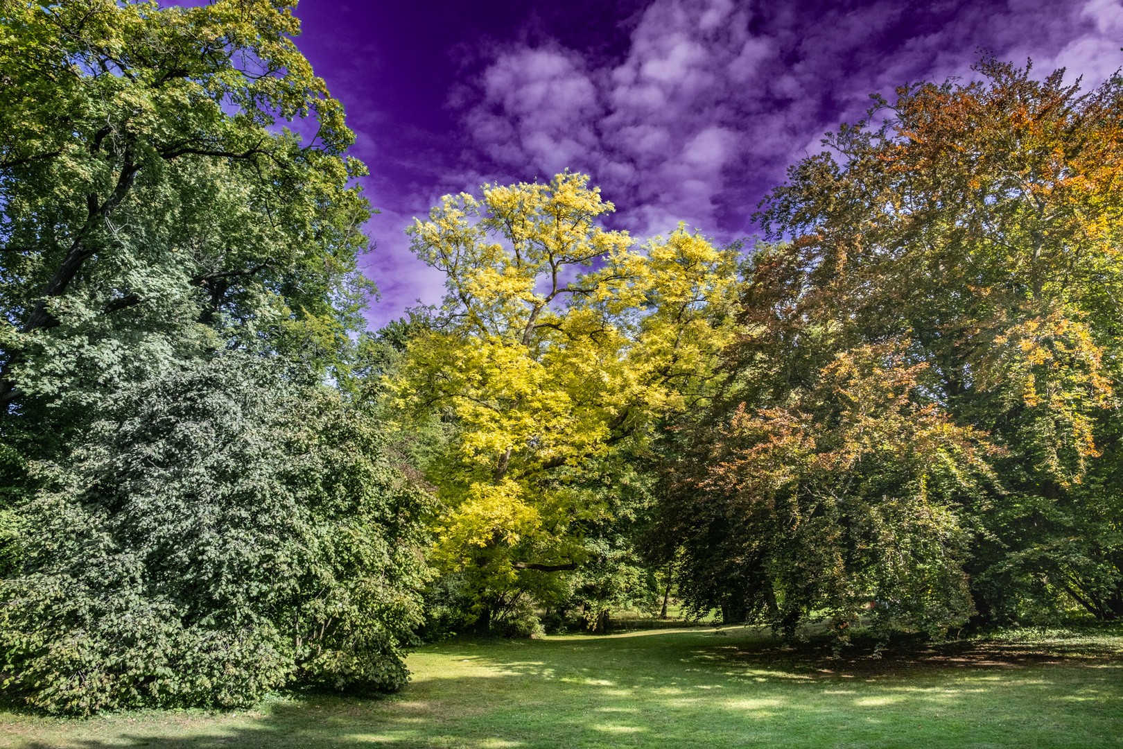 Im Schloßpark