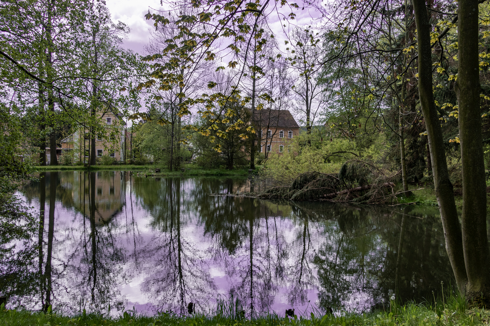 Im Schloßpark Althörnitz