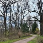 Im Schloßpark Belvedere in Weimar . 