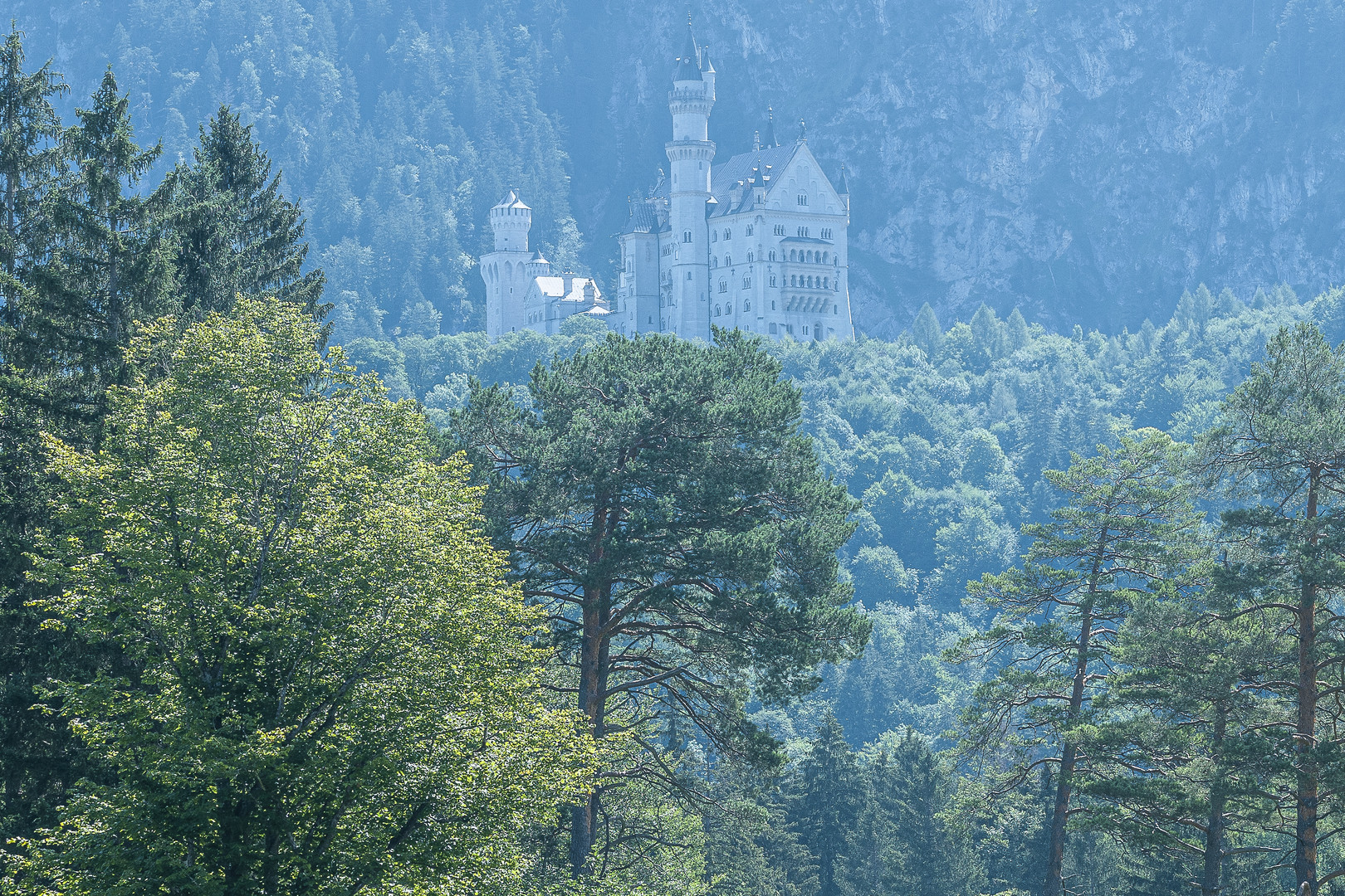 Im Schlosspark Blick auf Neuschwanstein